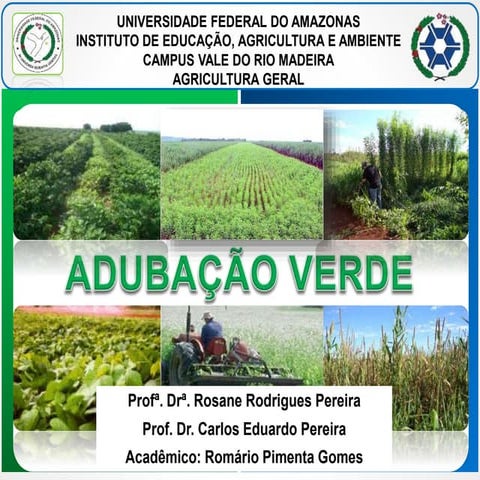Adubação verde GOMES RP | PPTX