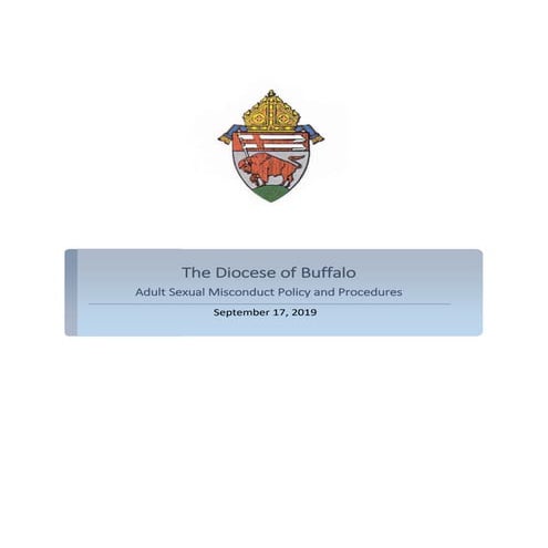 Adult misconduct policy