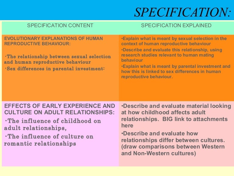 Collegehow childhood affects adulthood essay