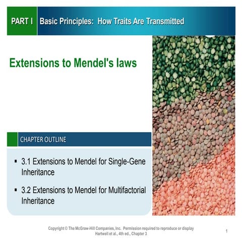 Adv Genetics Extensions To Mendels Laws Pdf