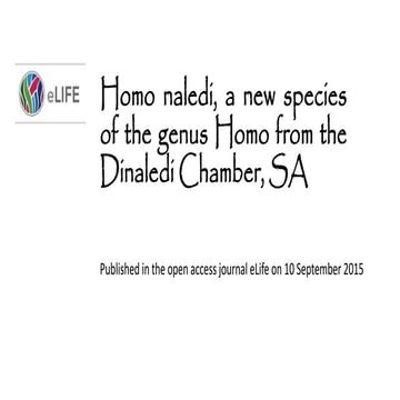Homo naledi - highlights from the paper published on eLife
