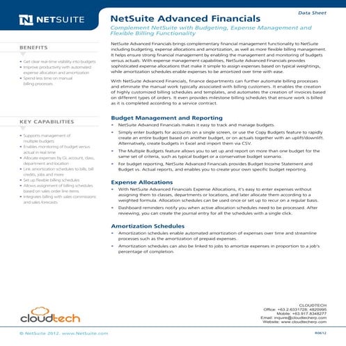 NetSuite Advanced Financials