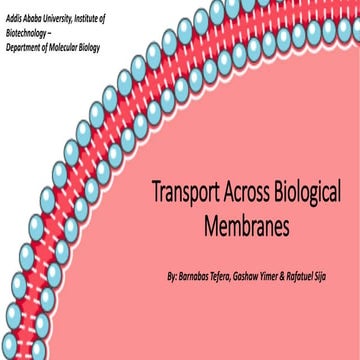 Advanced Cell Biology good and best ppt on the mrna transport (1).pptx