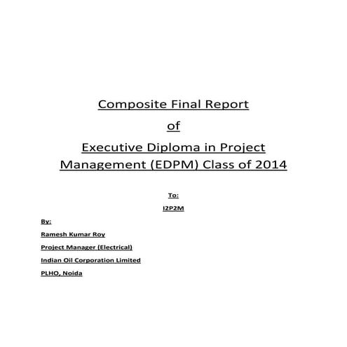 Advanced concept of project risk management project report