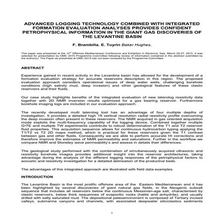Advanced logging evaluation gas reservoir of  Levantine basin