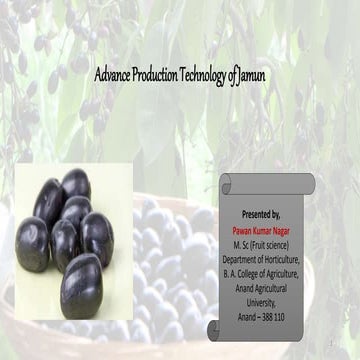 Advanced  production technology of jamun crop
