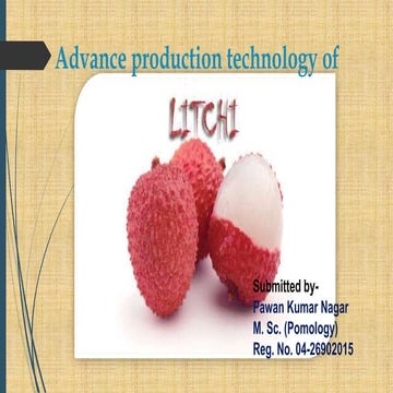 Advanced  production technology of litchi