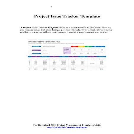 Advanced Project Issue Tracker Template.docx