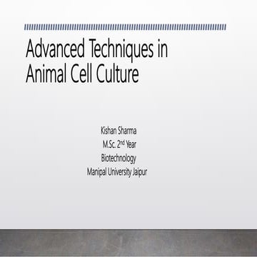 Advanced techniques in animal cell culture