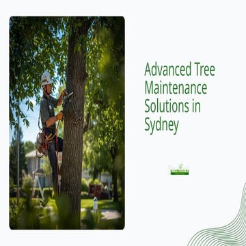 Advanced Tree Maintenance Solutions for Better Property Safety | PPTX