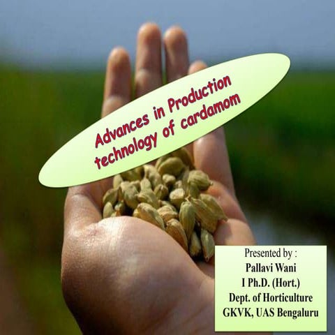 cardamom production technology | PPTX
