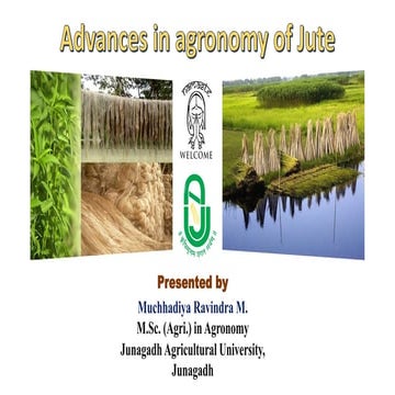 Advances in agronomy of Jute (Corchorus sp.)