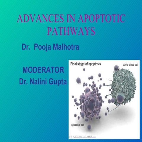 Advances in apoptotic pathways