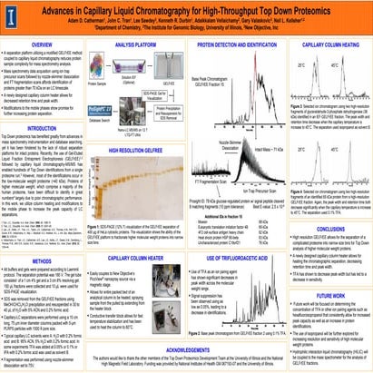 Advances in Capillary Liquid Chromatography for High-Throughput Top Down Proteomics