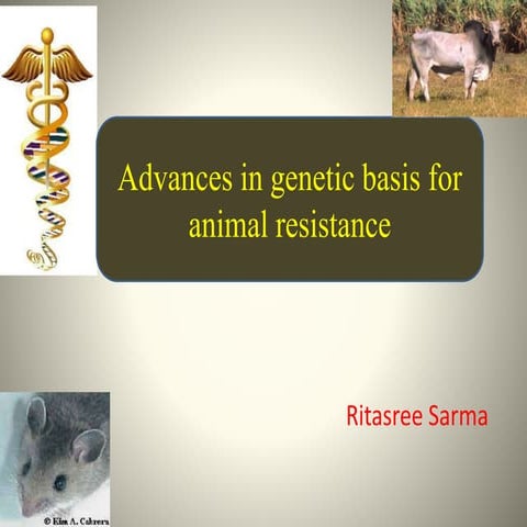 Advances in genetic basis for animal diseases