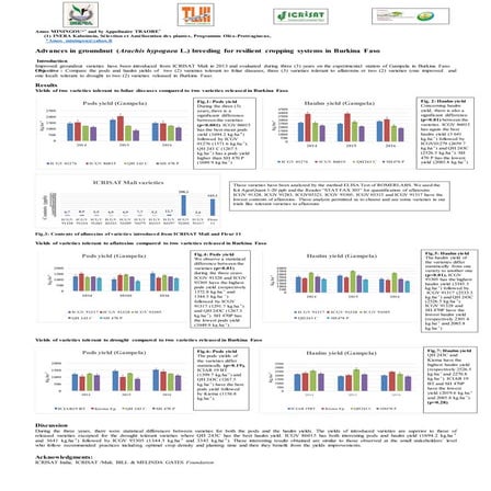 Advances in groundnut (arachis hypogaea l.) breeding for resilient cropping systems in burkina faso