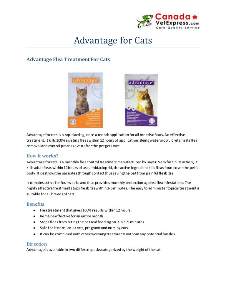 advantage for pregnant cats