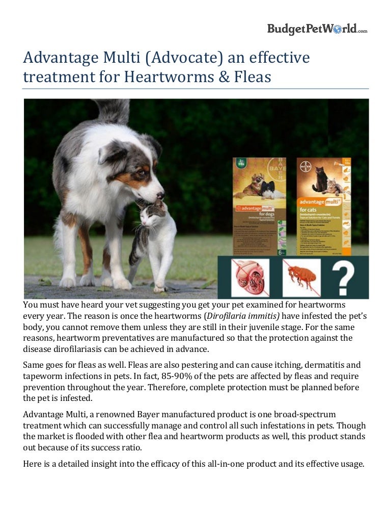 advantage heartworm and flea