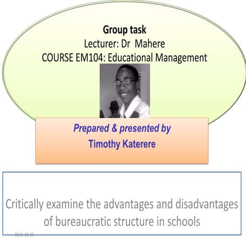Advantages and disadvantages of bureaucracy