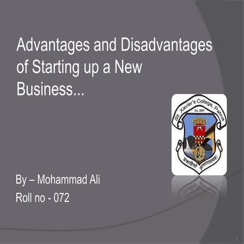 Advantages and disadvantages of starting up a new