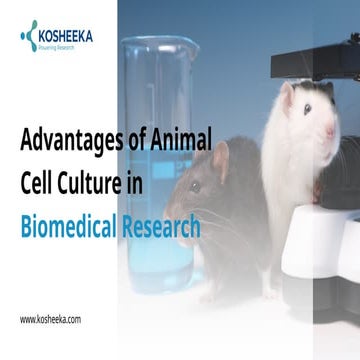 Applications of Animal Tissue Culture in Biomedical Research | PDF