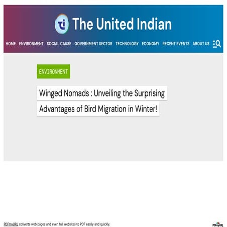 Advantages Of Bird Migration | National Bird Day