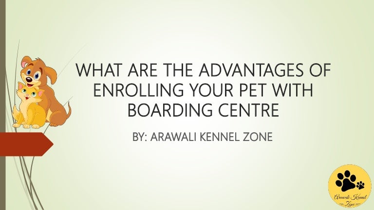 dog boarding centre near me