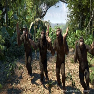 Adventure of a lifetime