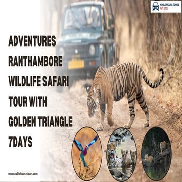 Adventures Ranthambore Wildlife Safari Tour with Golden Triangle 7Days