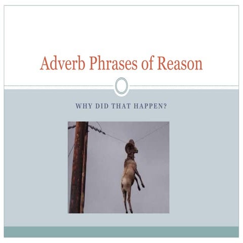 Adverb phrases of reason