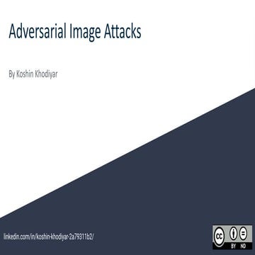 Presentation about adversarial image attacks