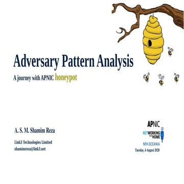 Adversary Pattern Analysis - A Journey with APNIC Honeypot