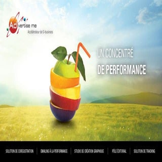 Plaquette Advertise me 2013