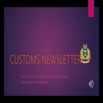 Customs Guide | PPTX