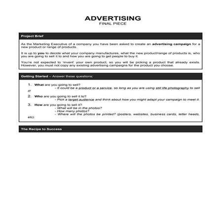 Advertising project brief | DOC