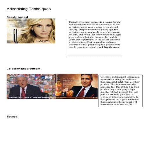 Advertising techniques mk