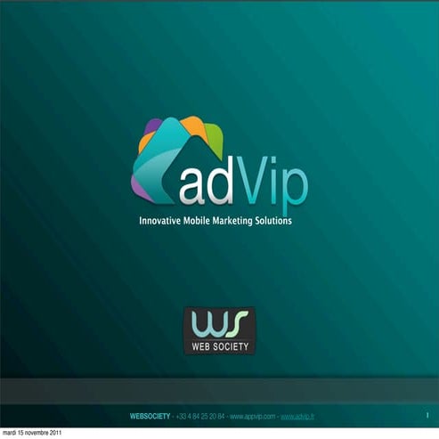 AdVip presentation-en