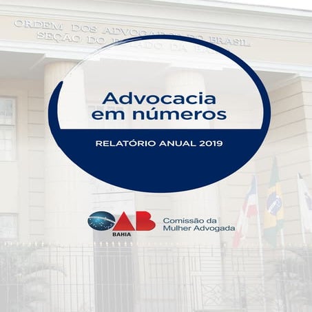 Advocacia em Numeros 2019