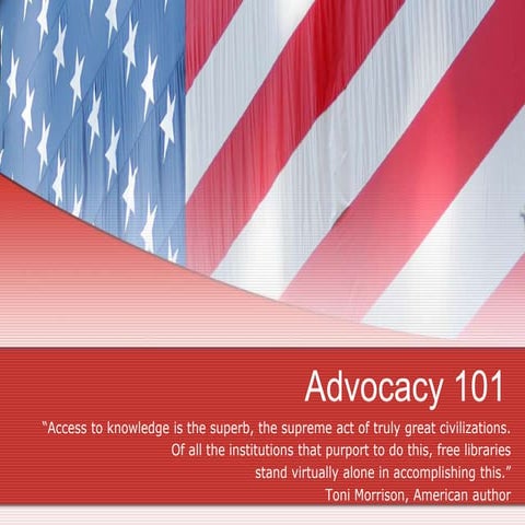 Advocacy 101