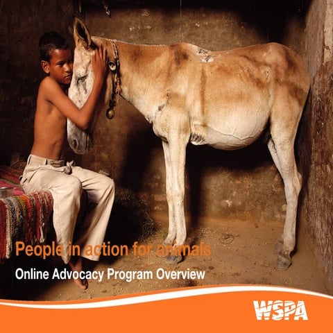 WSPA Online Advocacy