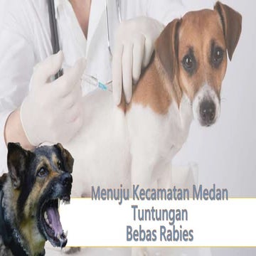 ADVOKASI RABIES MEDAN TUNTUNGAN (4).pptx