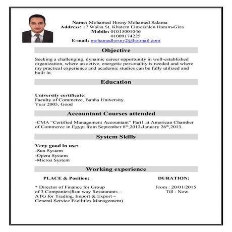 Mohamed Hosny C.V