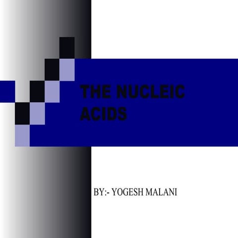 Nucleic acid
