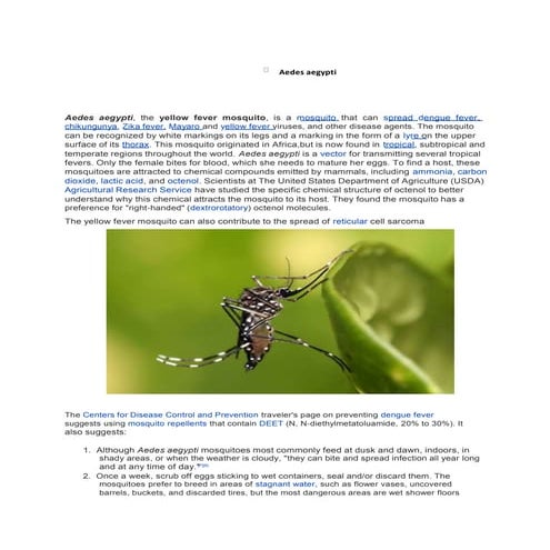 Aedes aegypti edit