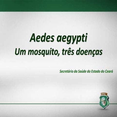 Aedes aegypti um mosquito três doenças padrão