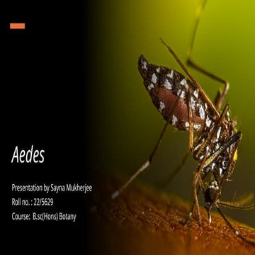 Aedes mosquito for insect vector and disease ppt