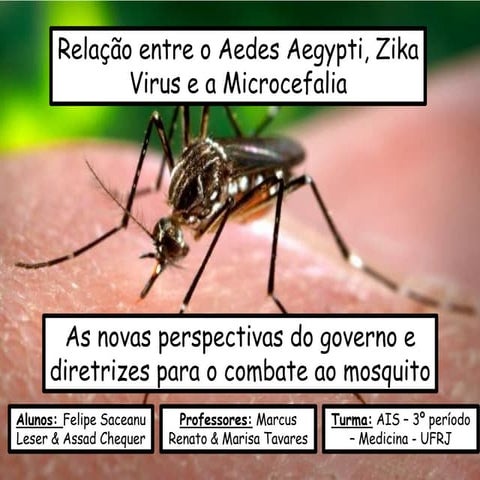 AEDES: Zika, Dengue e Chicungunha - Medicina UFRJ 3o. período, Disciplina AIS