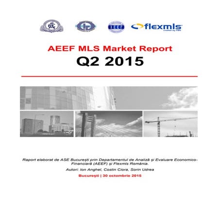 AEEF MLS - Market Report Q2 2015