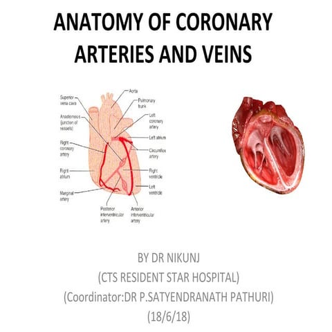 Coronary arteries and veins DR NIKUNJ .R .SHRKHADA (MBBS,MS GEN SURG DNB CTS SR)