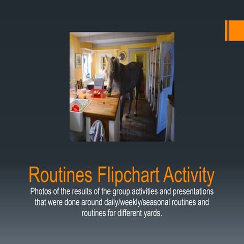 Daily, Weekly and Seasonal Equine Routines - Flip Chart Activity Week ...
